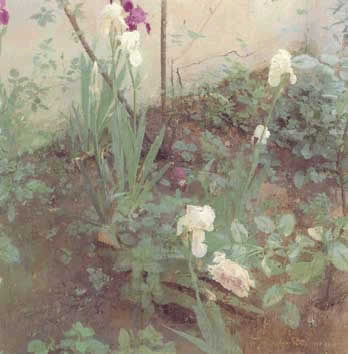 Lirios y rosa 1977