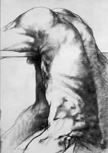 Sin titulo, 1981 carboncillo sobre papel, 195x75 cm